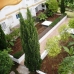 Apartment in Malaga 113354
