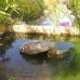 Estepona property: Beautiful Villa for sale in Estepona 113475