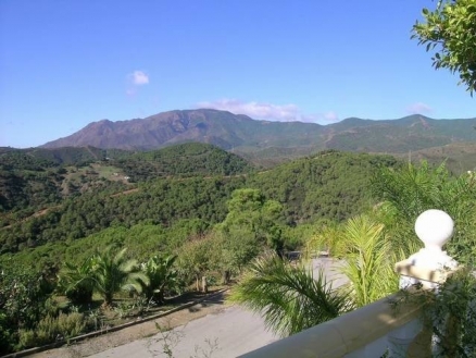 Estepona property: Villa for sale in Estepona, Malaga 113493
