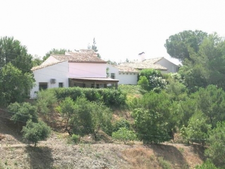 Estepona property: Malaga Villa 113504