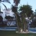 Elviria property: Apartment for sale in Elviria 113839