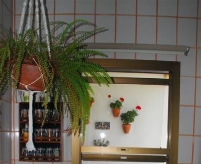 Estepona property: Apartment with 1 bedroom in Estepona 113842