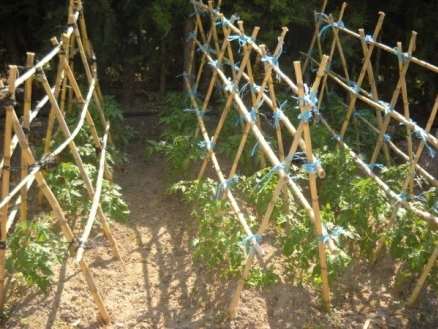 Alora&nbsp;property:&nbsp;Villa&nbsp;for&nbsp;sale&nbsp;in&nbsp;Alora,&nbsp;Malaga&nbsp;113854