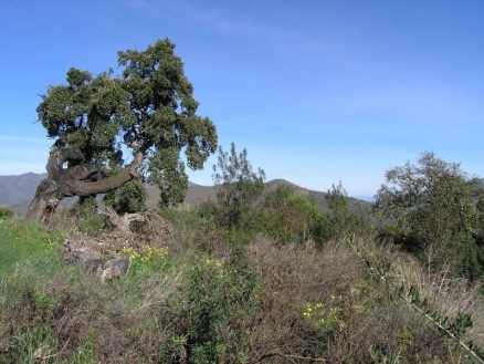 Ojen property: Land with bedroom in Ojen, Spain 113877