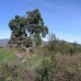 Ojen property: bedroom Land in Malaga 113877