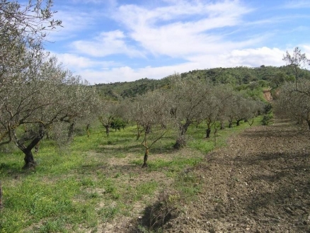 Coin property: Land for sale in Coin, Malaga 113897