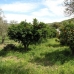 Coin property: Coin, Spain Land 113897