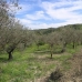 Coin property:  Land in Malaga 113897