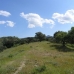 Coin property: Coin, Spain Land 113901