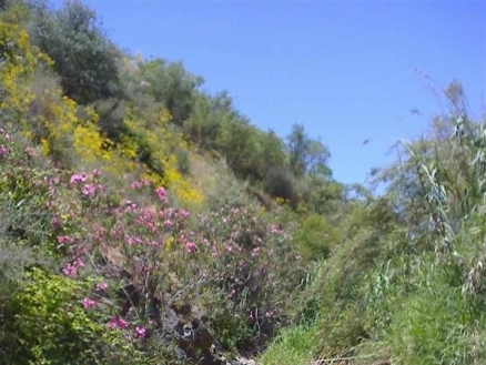 Coin property: Coin Villa 113914