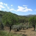 Coin property: 1 bedroom Villa in Coin, Spain 113914