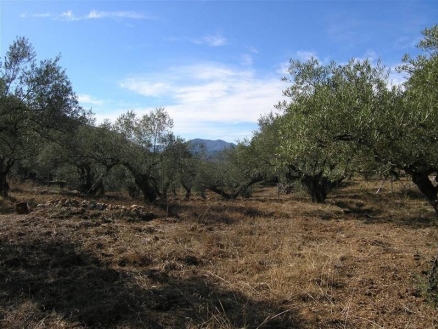 Monda property: Land for sale in Monda 113922