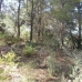 Monda property: Land in Malaga 113922