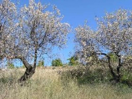 Coin property: Land with bedroom in Coin, Spain 114090