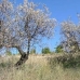 Coin property: bedroom Land in Malaga 114090