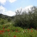 Coin property: Land in Malaga 114090