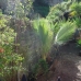 Estepona property: 2 bedroom Townhome in Malaga 114165