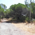Las Chapas De Marbella property: Land for sale in Las Chapas De Marbella 114196