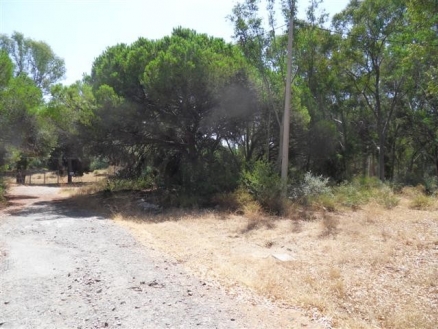 Las Chapas De Marbella property: Land for sale in Las Chapas De Marbella 114196