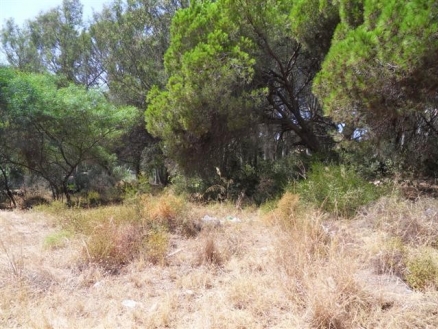 Las Chapas De Marbella property: Land for sale in Las Chapas De Marbella, Spain 114196