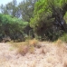 Las Chapas De Marbella property: Las Chapas De Marbella, Spain Land 114196