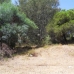 Las Chapas De Marbella property: bedroom Land in Malaga 114196