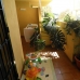 Estepona property: Estepona, Spain Apartment 114278
