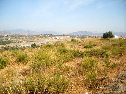 Coin property: Land for sale in Coin 114314