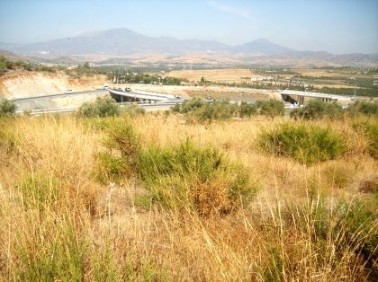 Coin property: Land for sale in Coin, Spain 114314