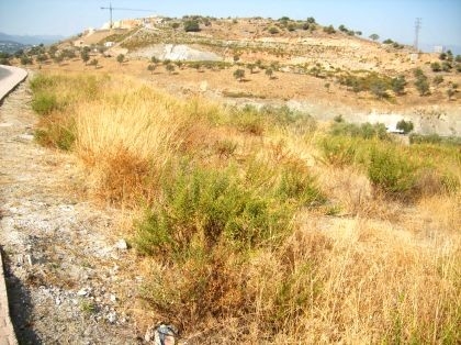 Coin property: Land with bedroom in Coin 114314