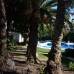 Elviria property: Elviria, Spain Apartment 114329