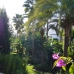 Elviria property: Apartment in Elviria 114329