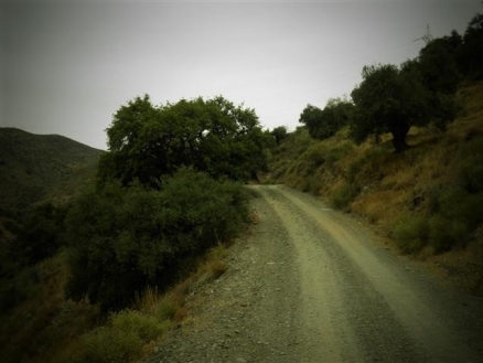 Estacion de Cartama property: Land for sale in Estacion de Cartama 114344