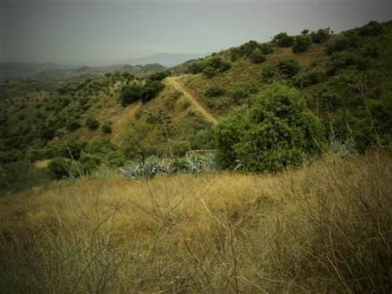 Estacion de Cartama property: Land for sale in Estacion de Cartama, Spain 114344