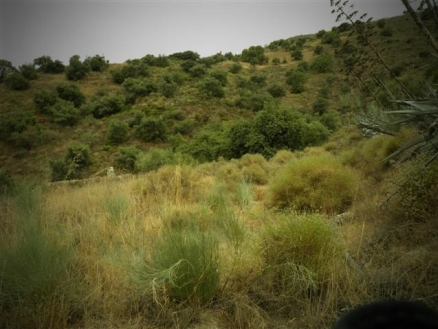 Estacion de Cartama property: Land with 1 bedroom in Estacion de Cartama 114344
