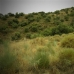 Estacion de Cartama property: 1 bedroom Land in Estacion de Cartama, Spain 114344