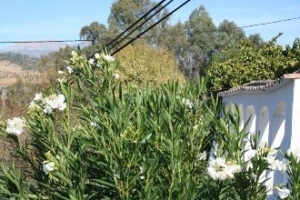 Guaro&nbsp;property:&nbsp;Guaro&nbsp;Villa&nbsp;114427