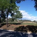 Las Chapas De Marbella property: Land for sale in Las Chapas De Marbella 114461