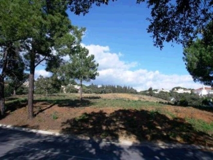Las Chapas De Marbella property: Land for sale in Las Chapas De Marbella 114461