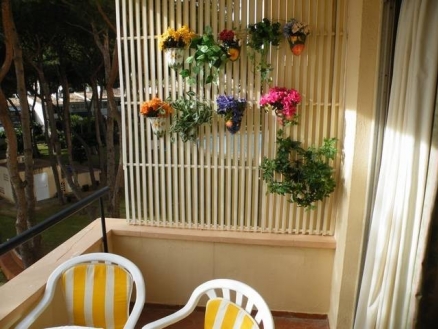 Calypso&nbsp;property:&nbsp;Studio&nbsp;for&nbsp;sale&nbsp;in&nbsp;Calypso,&nbsp;Malaga&nbsp;114500