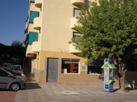 Estepona property: Commercial for sale in Estepona 114574