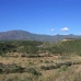 Estepona property: bedroom Land in Estepona, Spain 114653