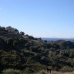Estepona property: Land in Estepona 114653