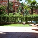 New Golden Mile property: Apartment for sale in New Golden Mile 114666