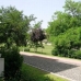 Guadalmina Alta property: 3 bedroom Apartment in Malaga 114683