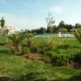 Estepona property: Estepona, Spain Apartment 114707