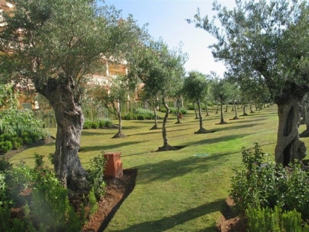Los Flamingos property: Apartment for sale in Los Flamingos, Spain 114799