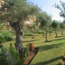 Los Flamingos property: Los Flamingos, Spain Apartment 114799