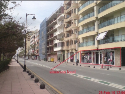 Estepona property: Commercial for sale in Estepona 114823