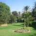Estepona property: Malaga Studio, Spain 114893
